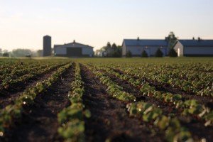 Standard Process's organic farm in Wisconsin